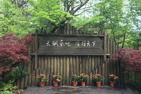 主题公园标识